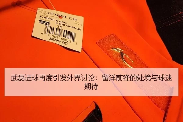 武磊进球再度引发外界讨论：留洋前锋的处境与球迷期待